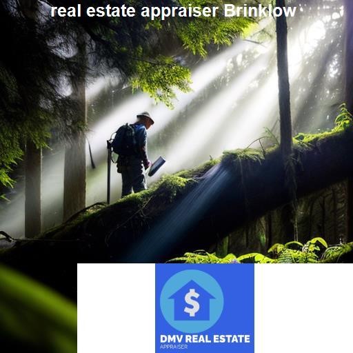 Skills Needed to Become a Real Estate Appraiser - DMV Real Estate Appraiser Brinklow